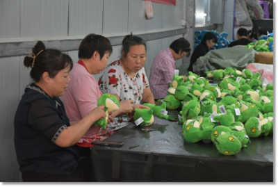 云阳红狮 红色引领绿色发展，探索强镇带村富民新路子